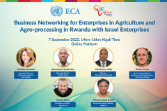 AIP-UNECA-event-2